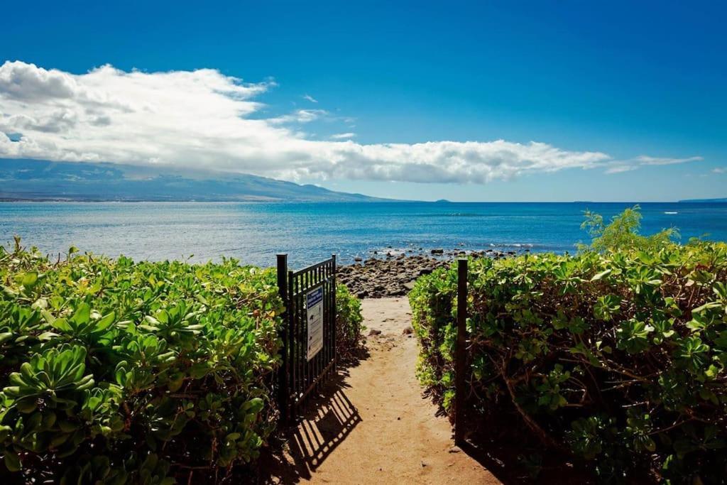Stunning Maui Direct Ocean Front On The Beach, Walk To Beach From Condo, Watch Turtles, Whales, Ac In All Rooms Ocean View Pool And Spa Wailuku Екстериор снимка